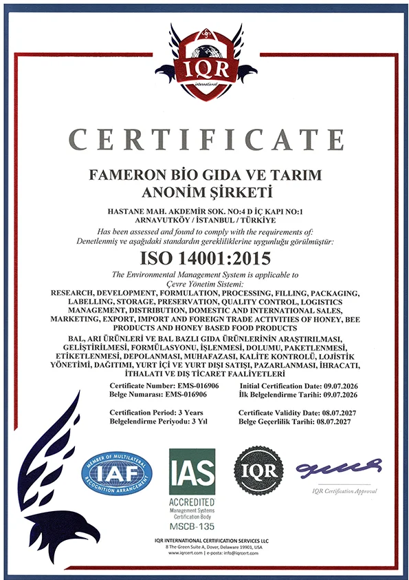 ISO 14001 certificate