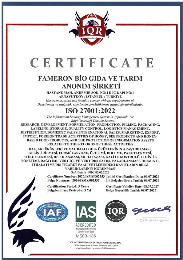 ISO 27001 certificate