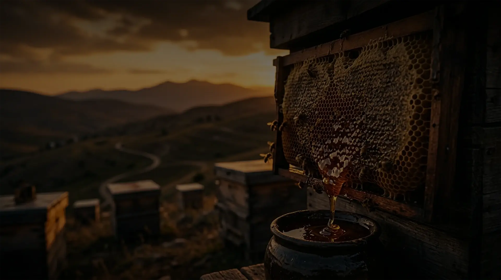 Turkish honey supplier - bulk honey export from Anatolia
