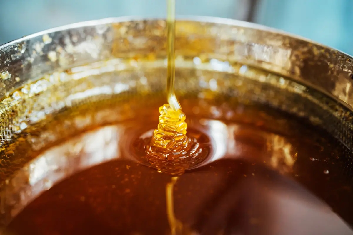 Innovative fruit honey products for modern food retailers