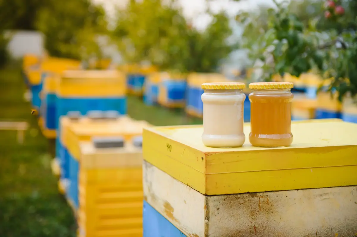 How to Start a Private Label Honey Brand: A Step-by-Step Guide